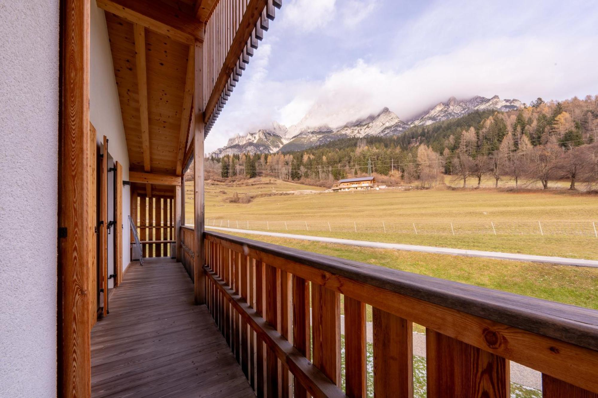 Greenwood Chalet - Spacious Alpine Retreat With Mountain Views Vodo Cadore المظهر الخارجي الصورة